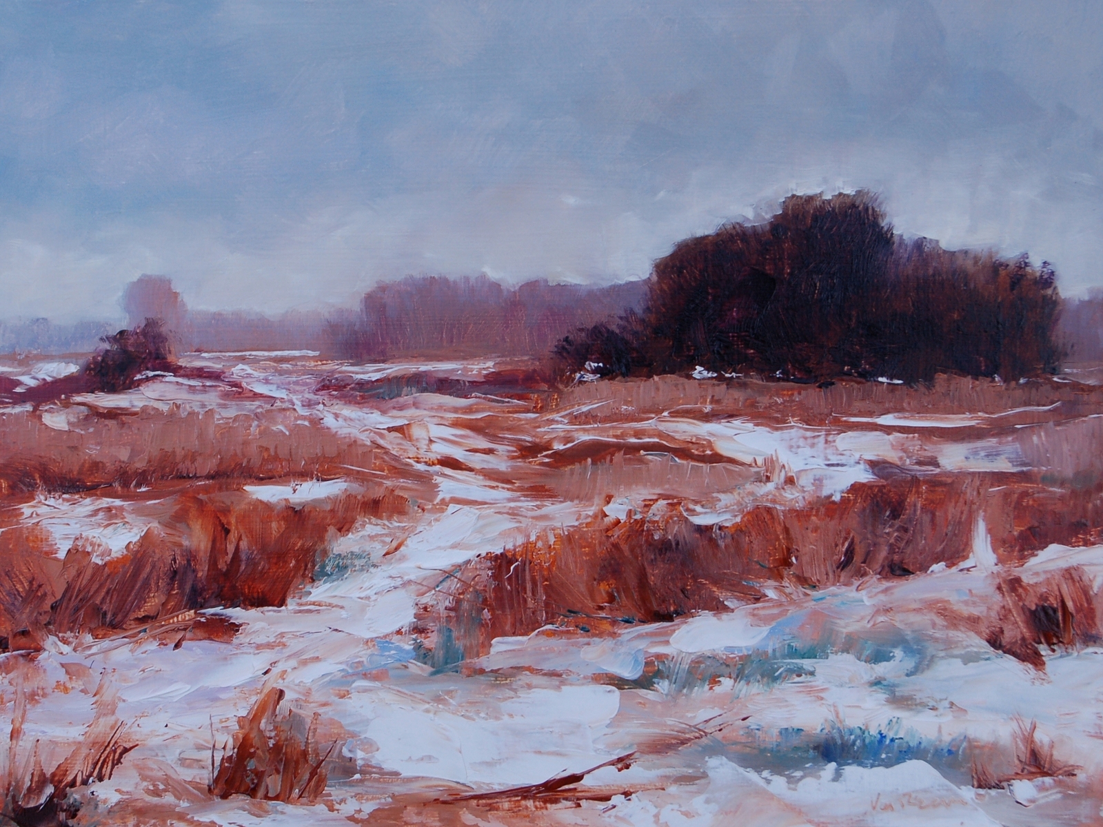 copyright en beeldrecht roeland van reem